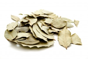greenleafpestcontrol2-300x200