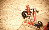 Toronto Exclusion & Repair Exclusion & Repair Toronto