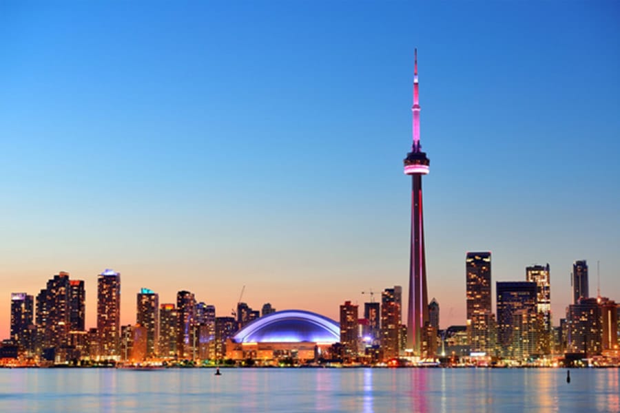 Toronto Pest Control Services toronto-pest-control-services