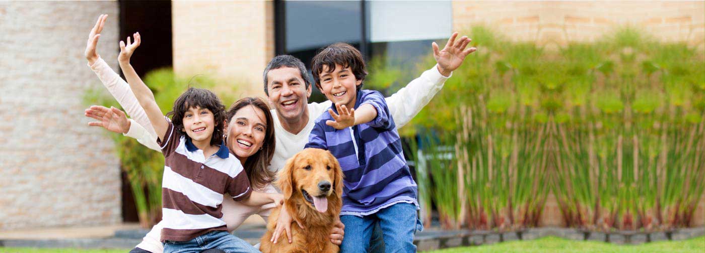 Pest Control Services Toronto, Ontario GreenLeaf Pest Control