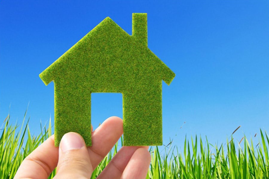 Kitchener Waterloo Pest Control Services kitchener-waterloo-pest-control-services