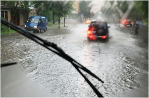 Mosquitoes on the Rampage after Recent Rainfall in Winnipeg