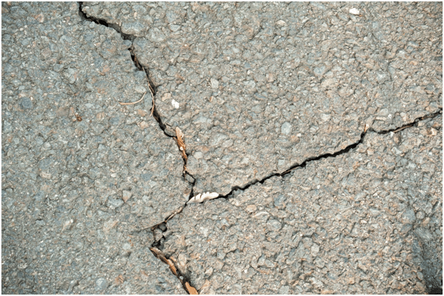 Toronto Pavement Ant Control