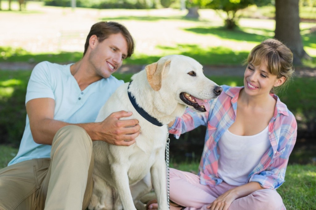 5 Ways to Escape the Tick Invasion