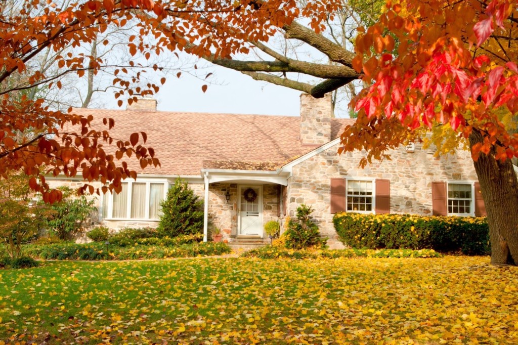 How to Autumn-Proof Your Home against Invading Insects
