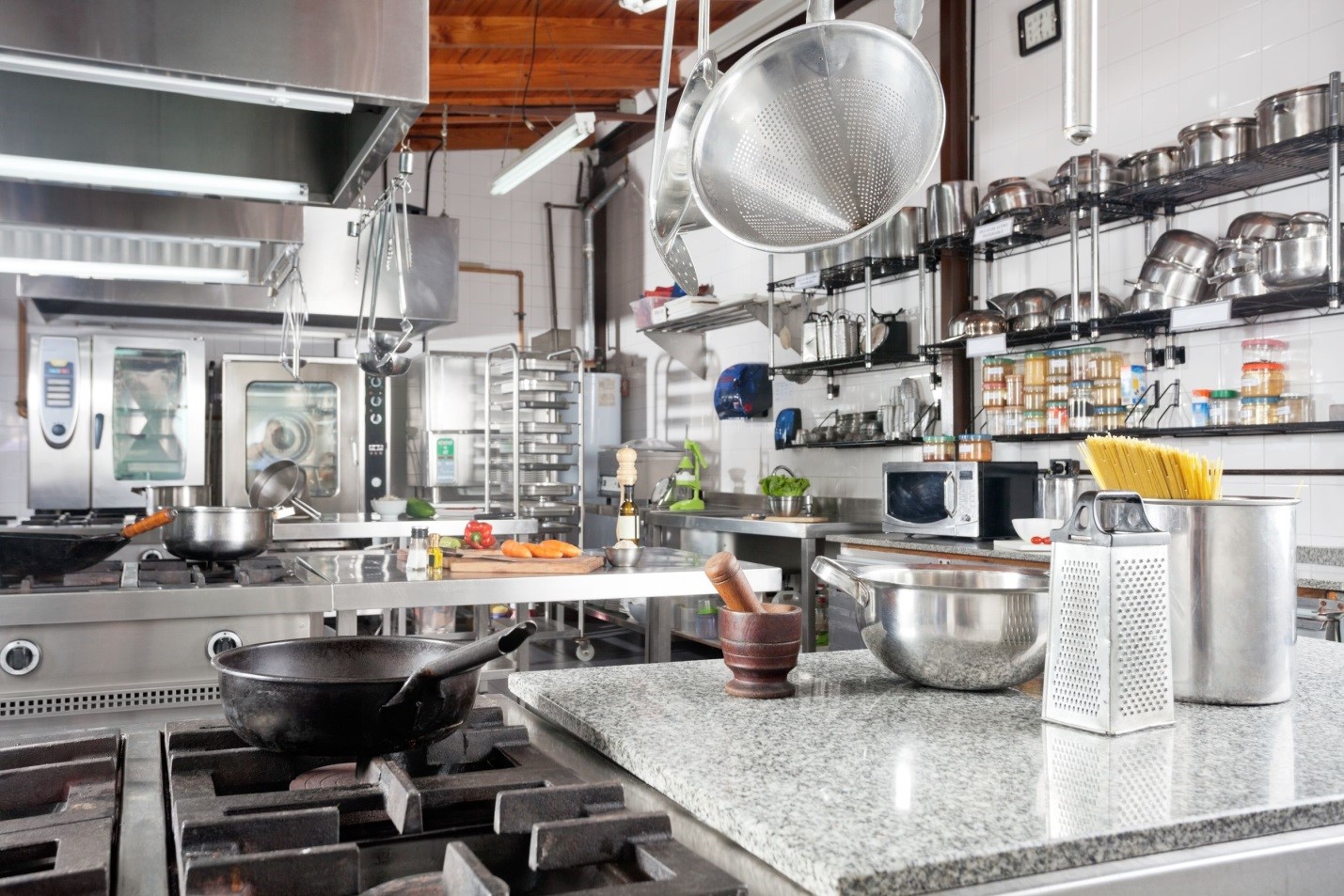 Toronto Restaurant Pest Control