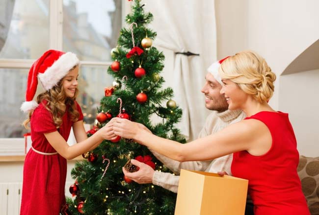 How to Keep Termites from Decorating Your Home This Christmas