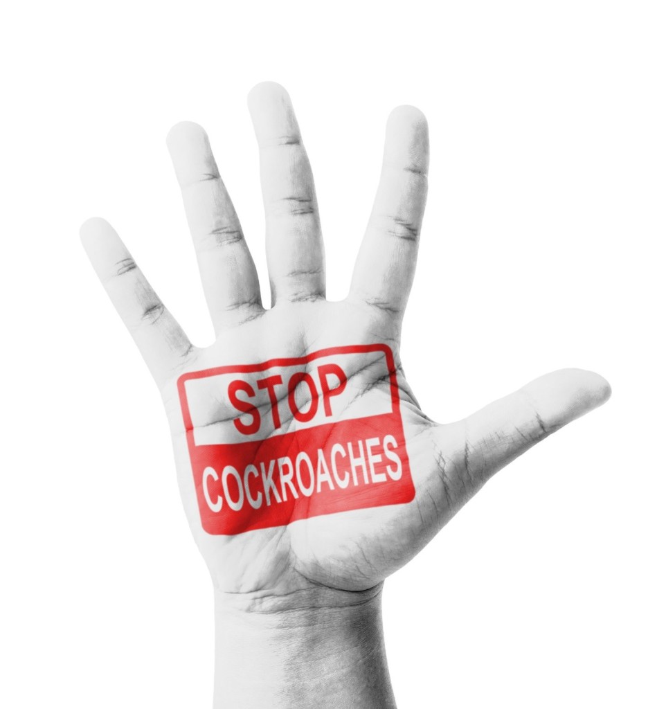 Toronto Cockroaches Control