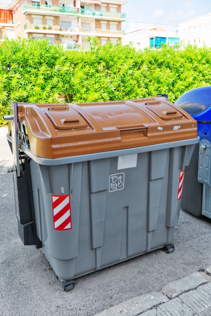 5 Pest-Prone Areas in Your Retail Store