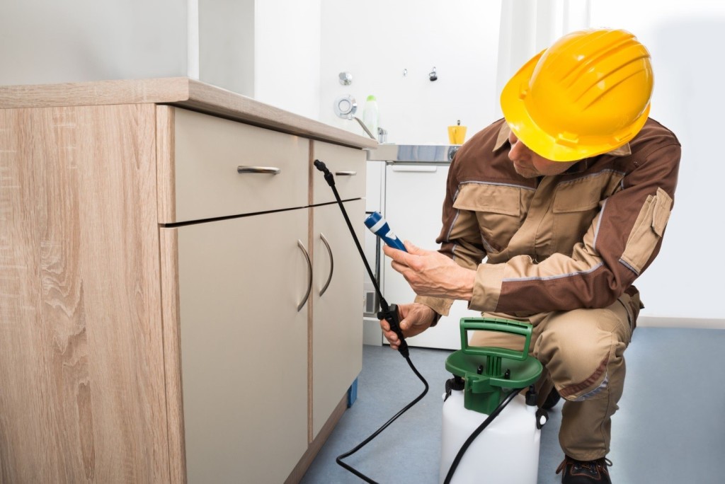 Toronto Pest Control Service