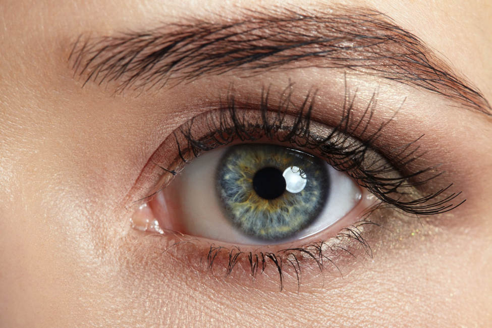 Cockroach Allergens Increase Glaucoma Risk