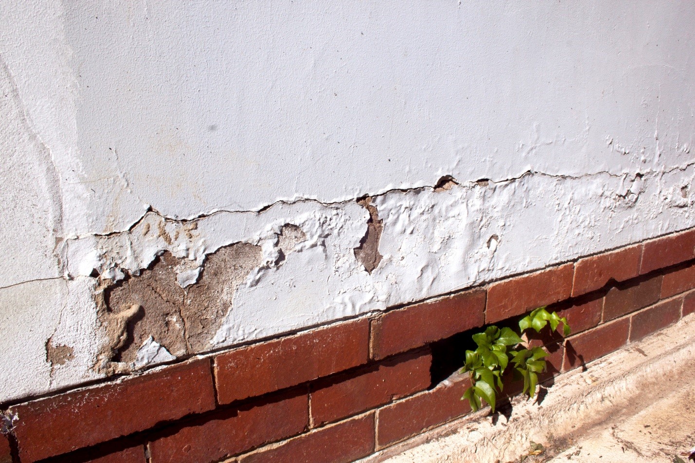 Modern How To Fix House Exterior Wall for Simple Design