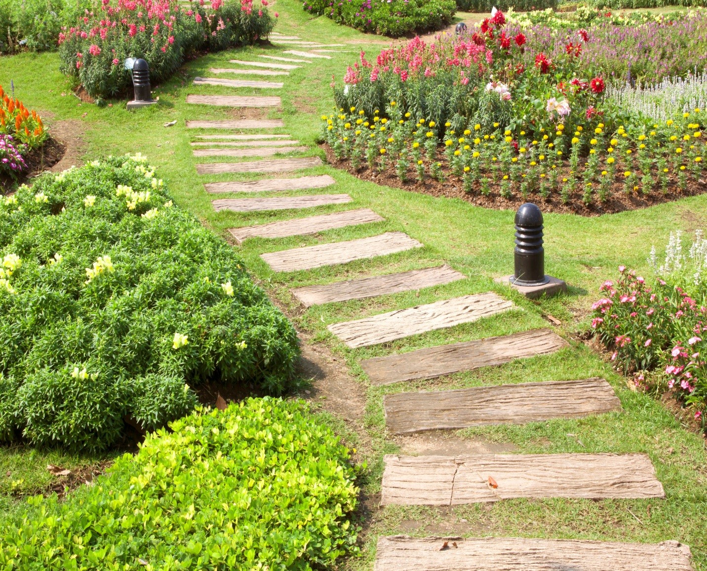 How Landscape Management Can Contribute to Effective Pest Control