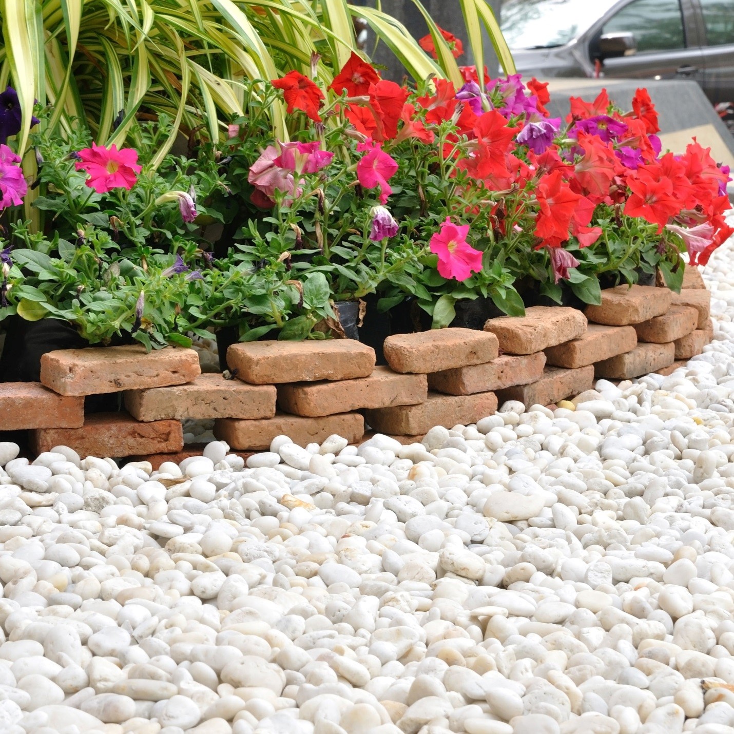 Toronto Pest Control for your Landscaping