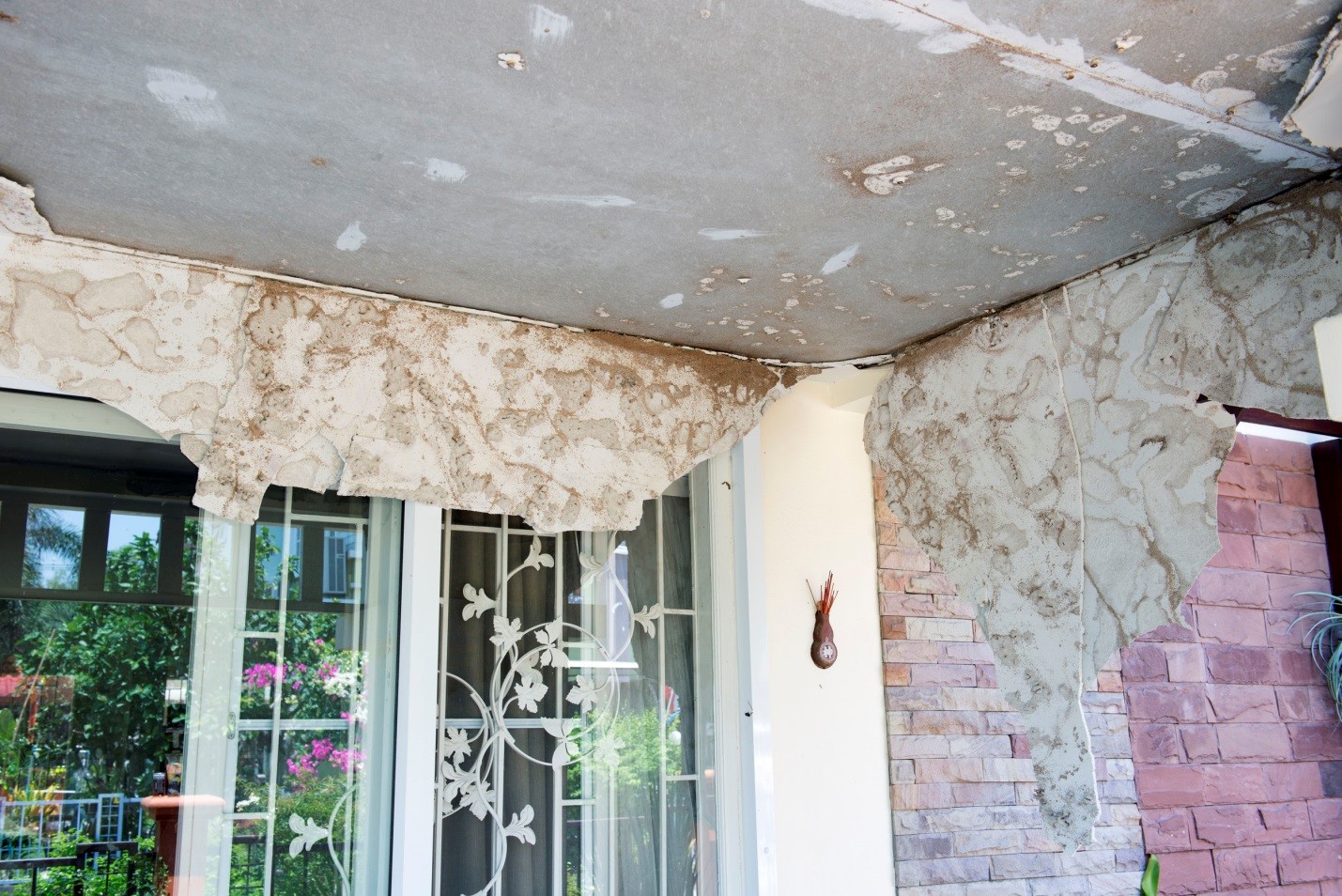 Ontario Canada Carpenter Ant Removal and Control