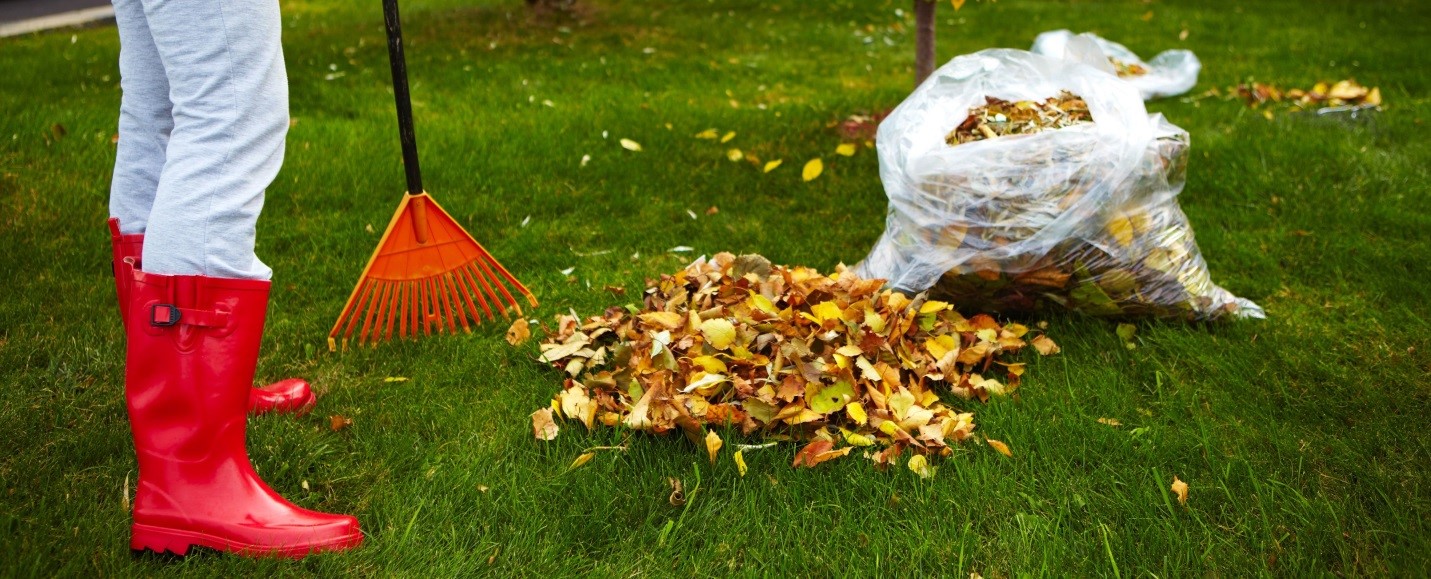 Fall Tick Control for the Outdoors in Toronto