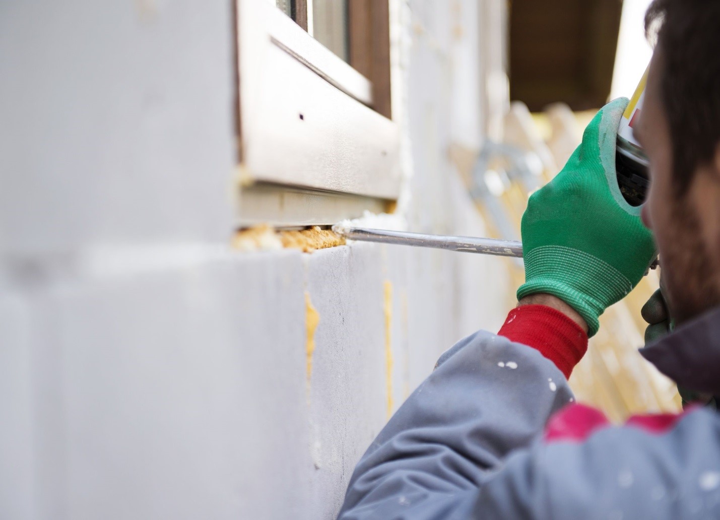 Prevention Is Key to Avoiding a Rodent Infestation