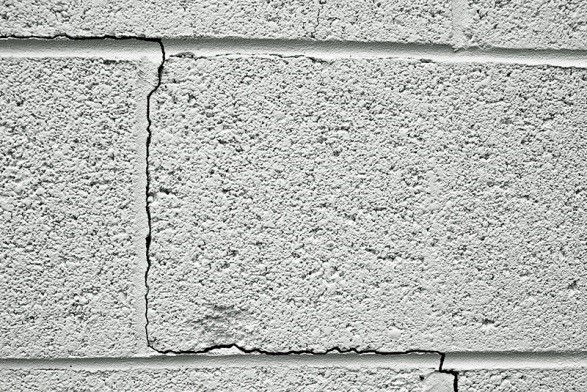 Termites Don’t Eat Concrete, but They Can Infiltrate It Easily