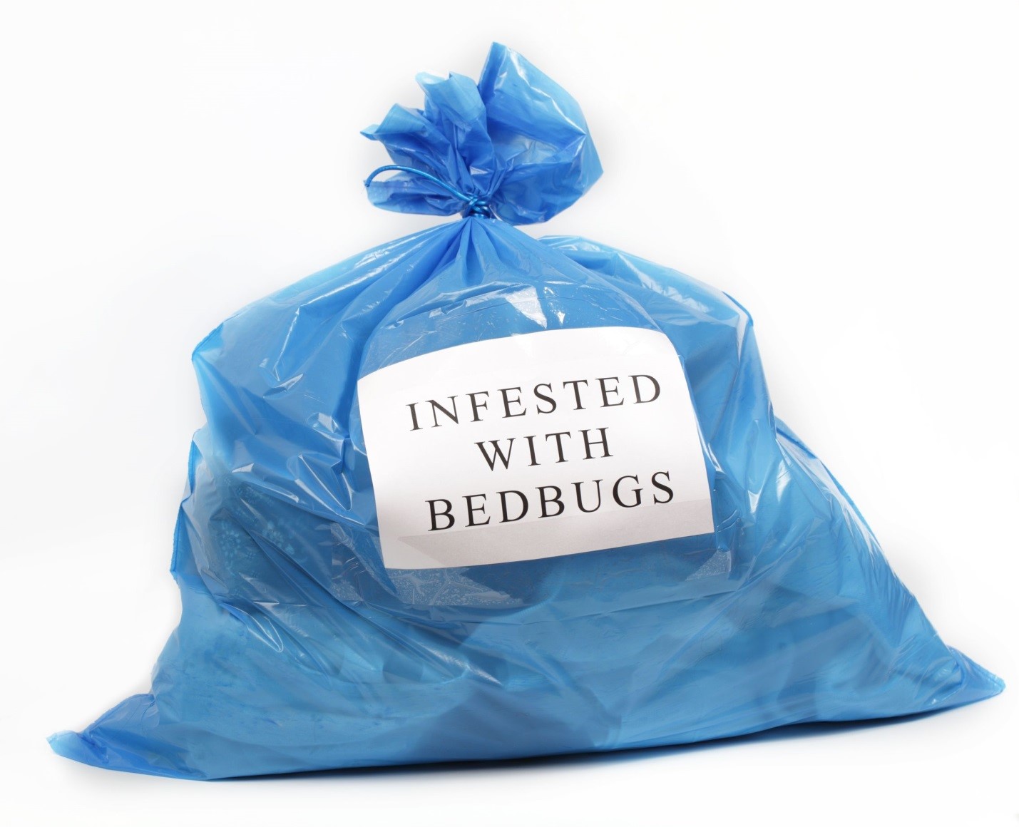 Toronto Bed Bug Control