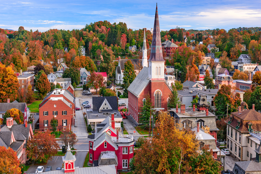 Burlington Pest Control Services Burlington Pest Control