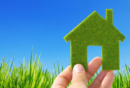Pest Control Toronto Cost