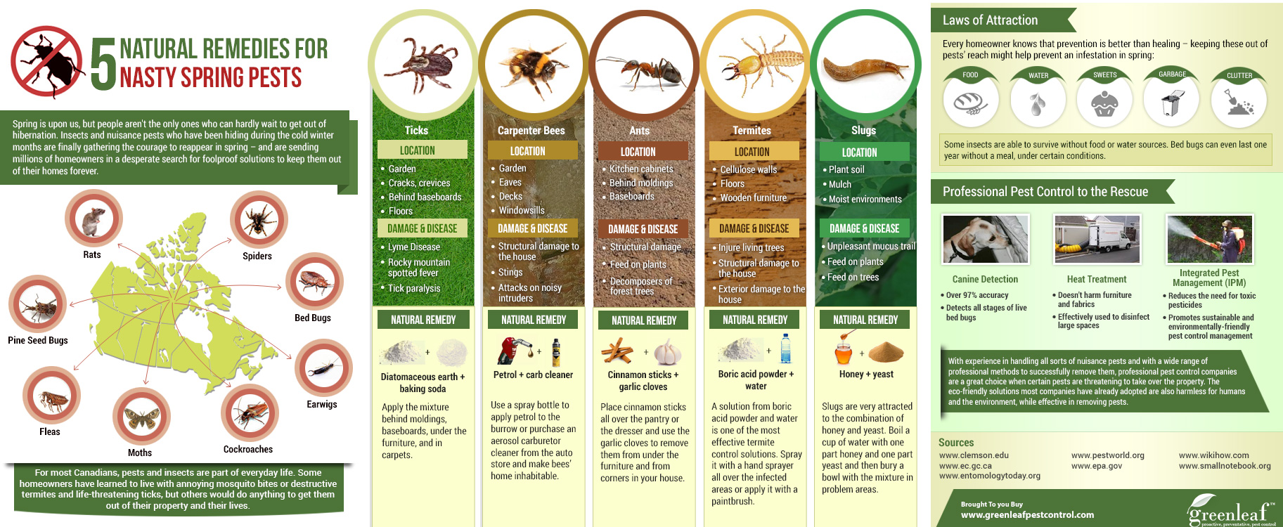 , Homeowners, Stand Your Ground: Natural Remedies for Battling Indoor &#038; Outdoor Pests This Season