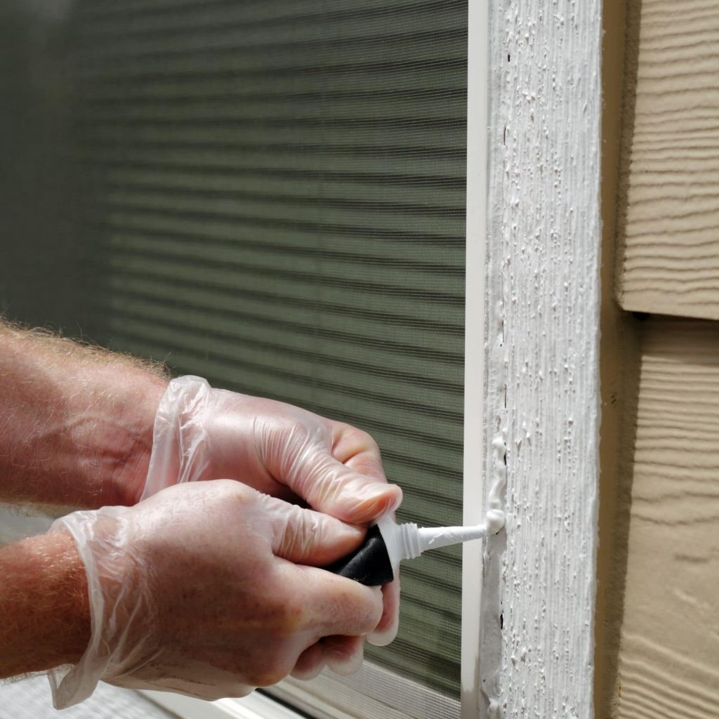 Stop Inescts How to Autumn-Proof Your Home against Invading Insects