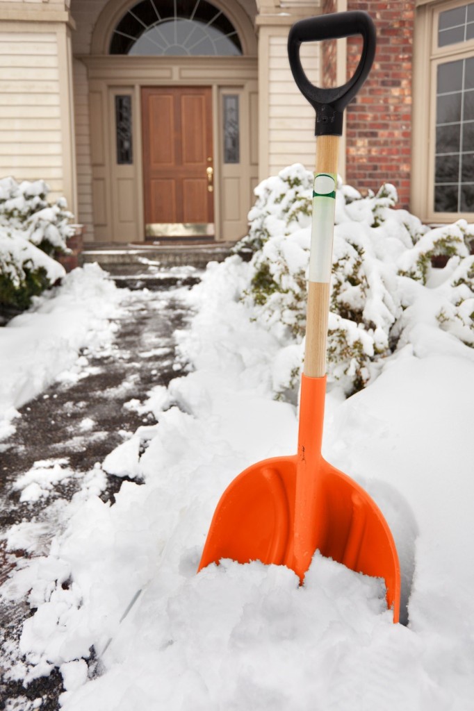 What Pests Should You Expect to See Inside Your Home This Winter