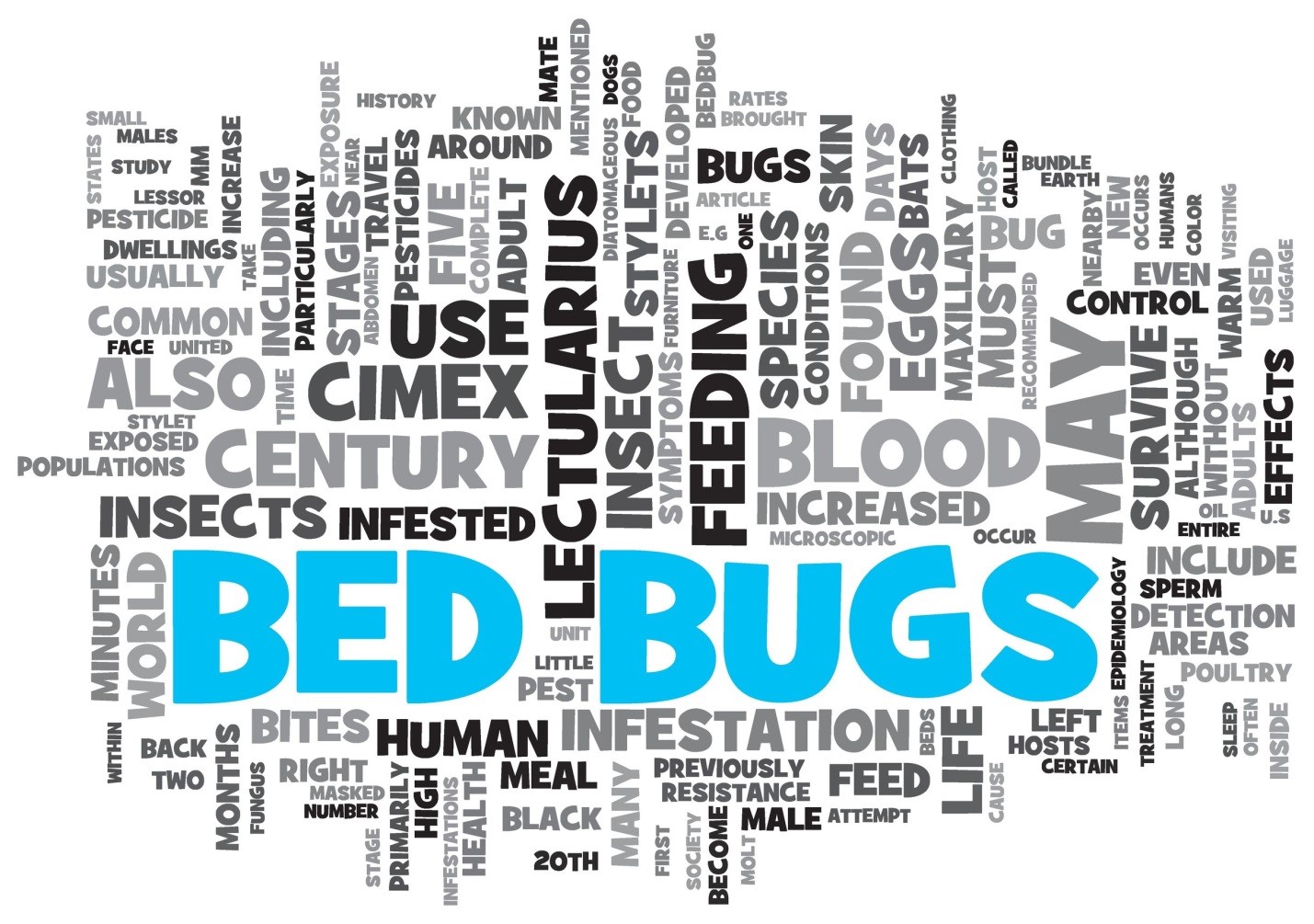 Toronto Bed Bugs Control