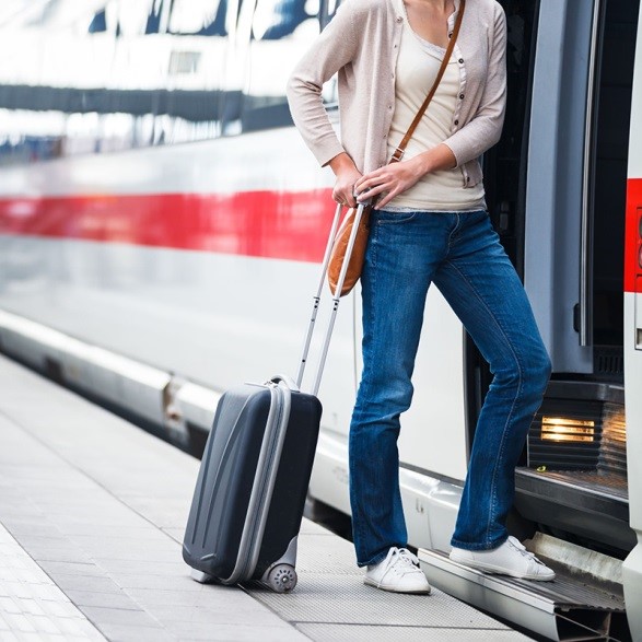 How Do Pests Find Their Way Inside Trains and Buses