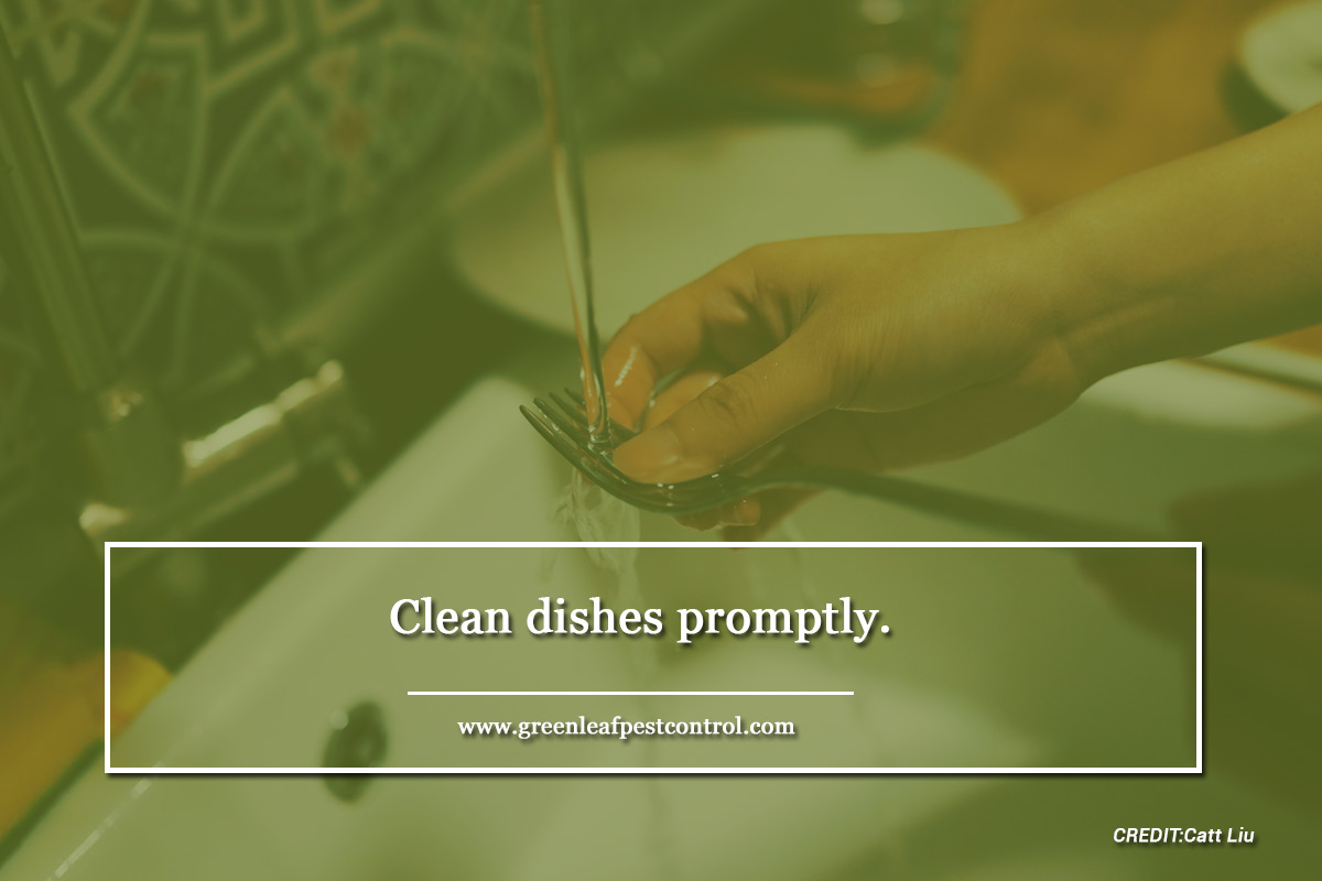 Clean dishes promptly.
