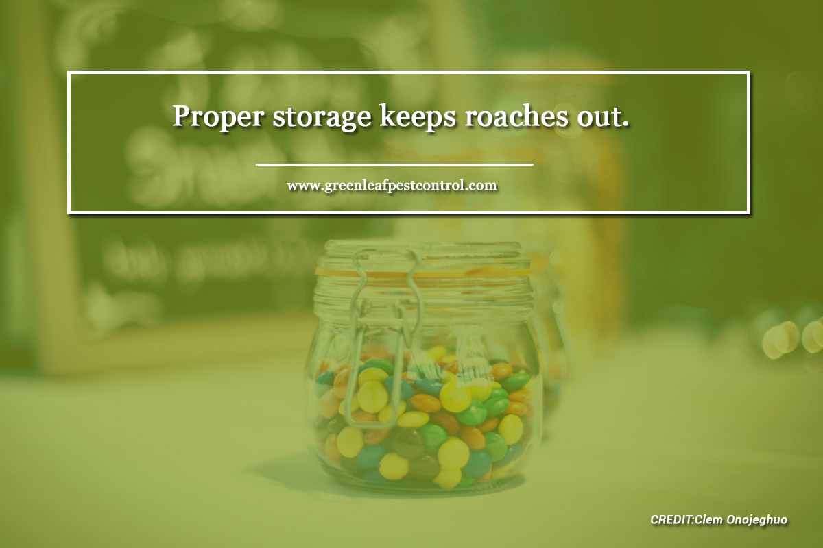 Proper storage keeps roaches out.