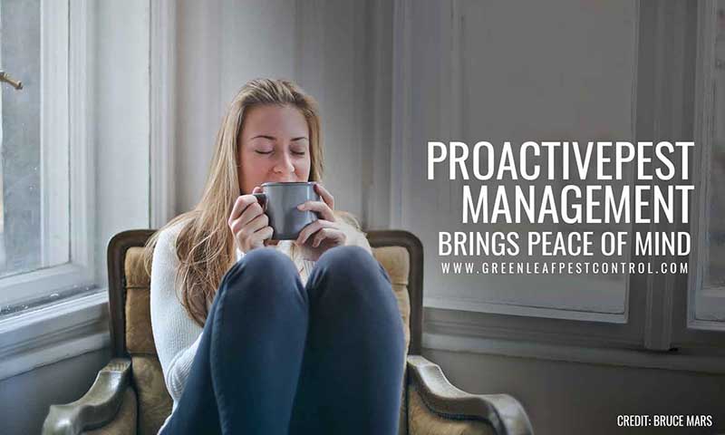 Proactive pest management brings peace of mind