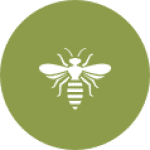 , Bees & Wasps
