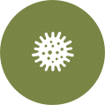 Pest Services near me | GreenLeaf Pest Control