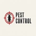 Pest Control in Toronto | GreenLeaf Pest Control