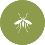 Mosquito elimination in Toronto | GreenLeaf Pest Control