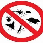 Pest Control Services near me | GreenLeaf Pest Control