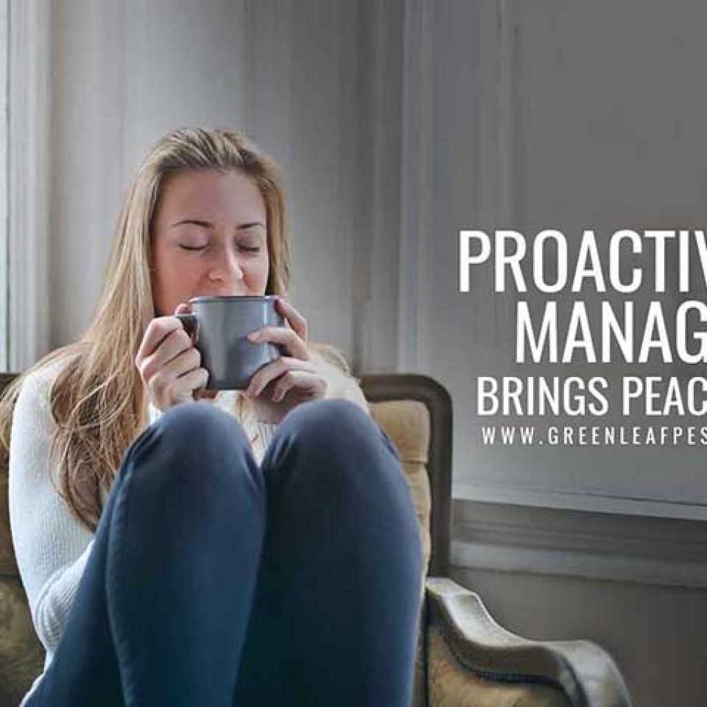 The Importance of Proactive Pest Management | GreenLeaf