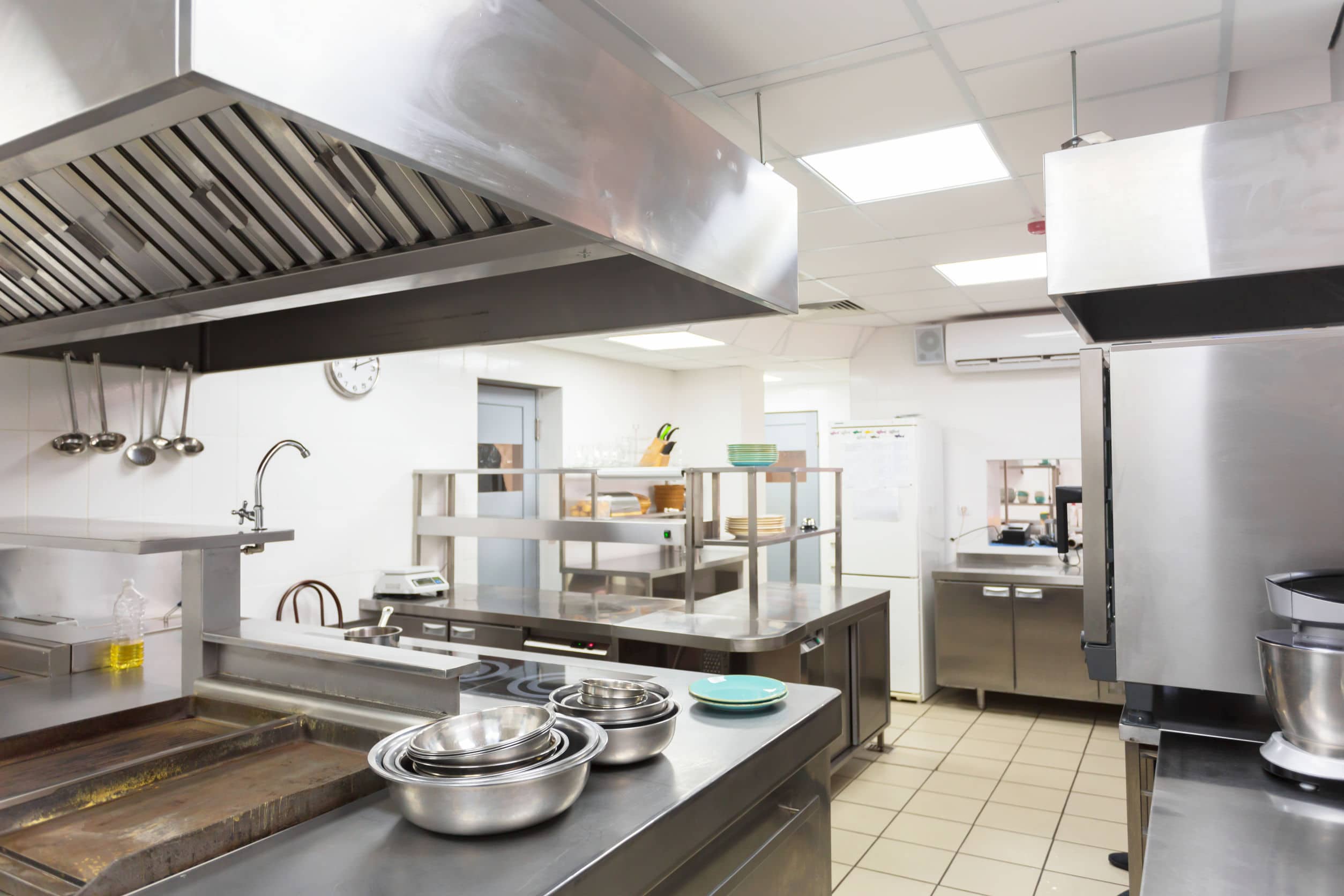 Closed Front-of-House? Flies Can Still Shut Your Toronto Kitchen Down