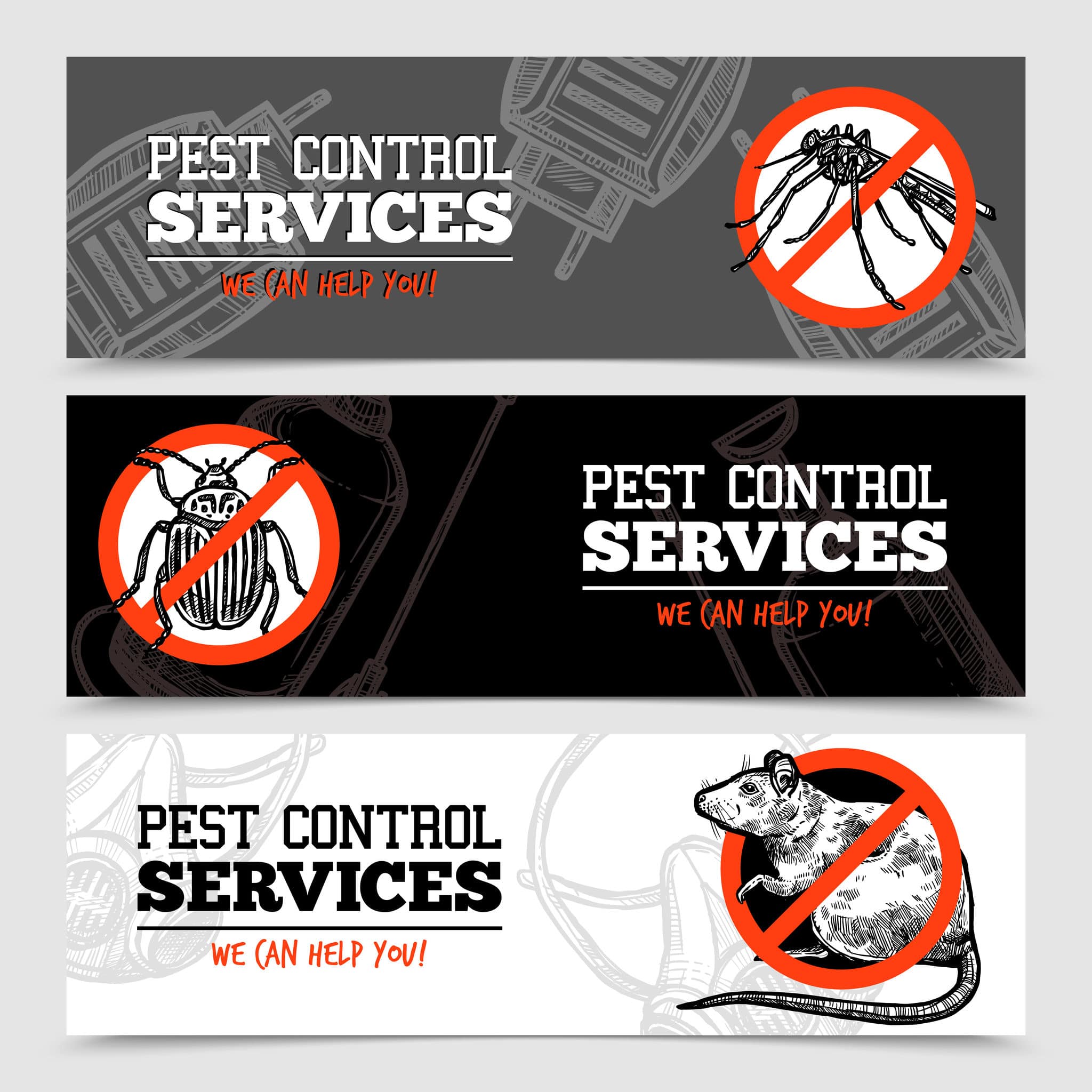 Toronto Pest Control Services