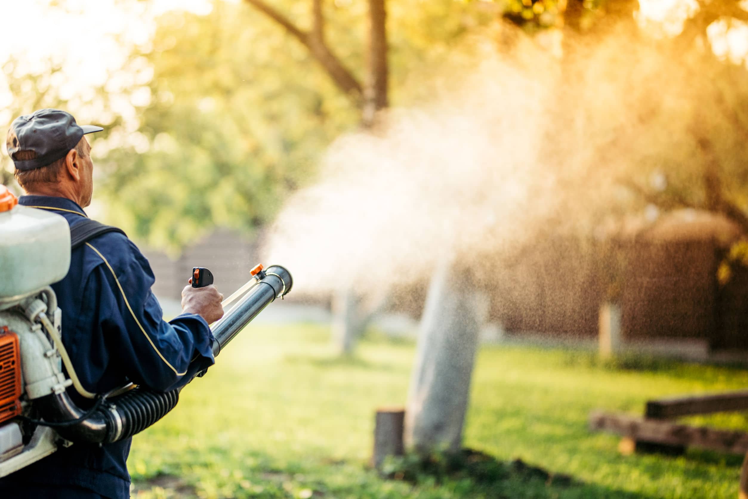 Toronto Mosquito Control