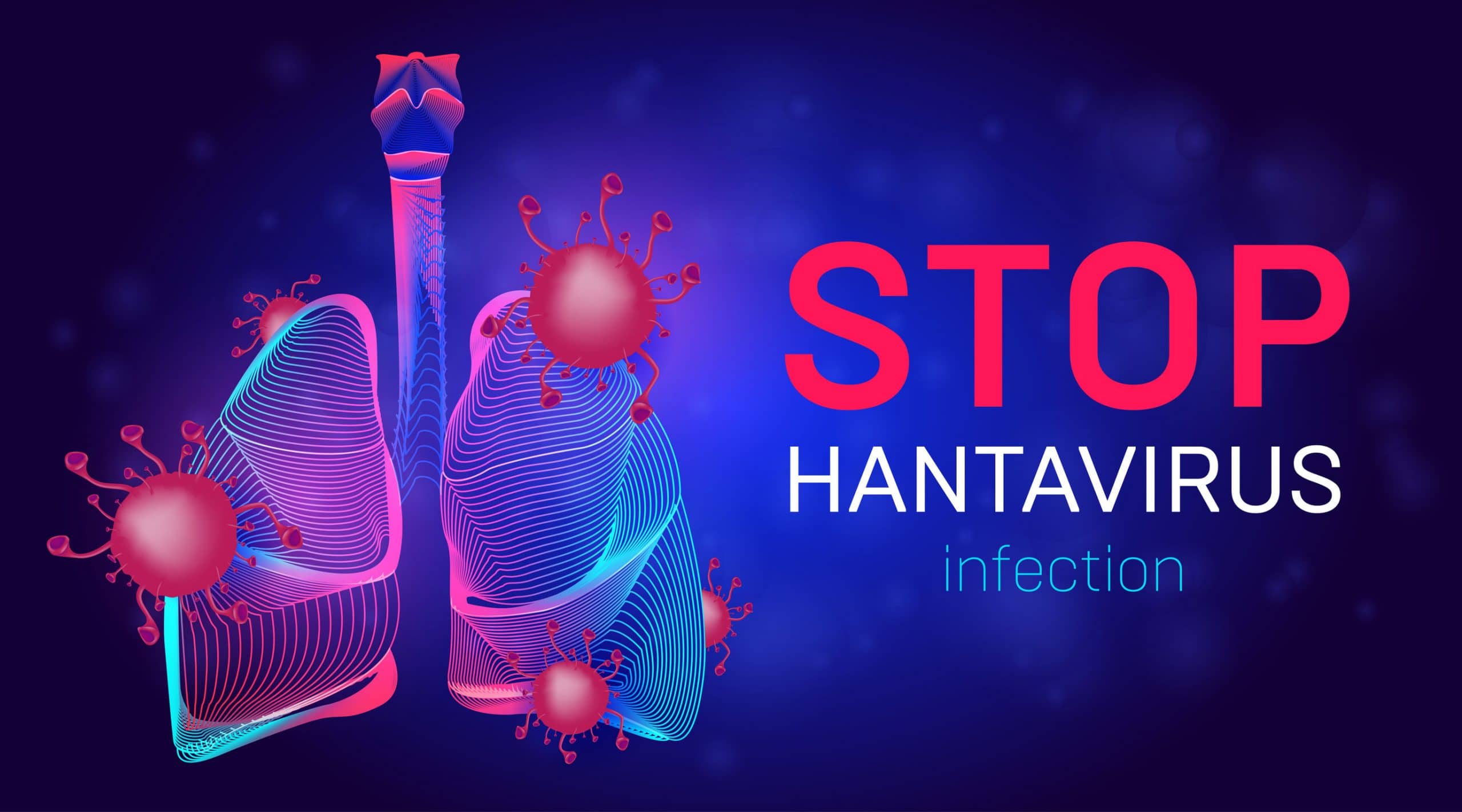 Hantavirus: The Unexpected Risk of Spring Cleaning and How to Avoid It