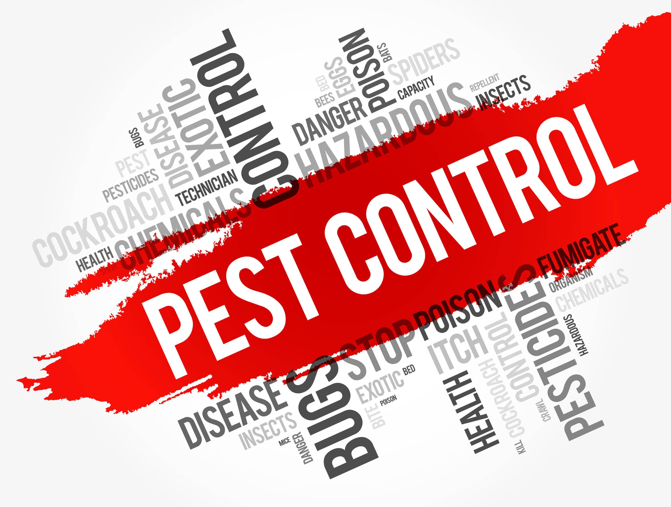Pest Removal Services in Toronto and the GTA