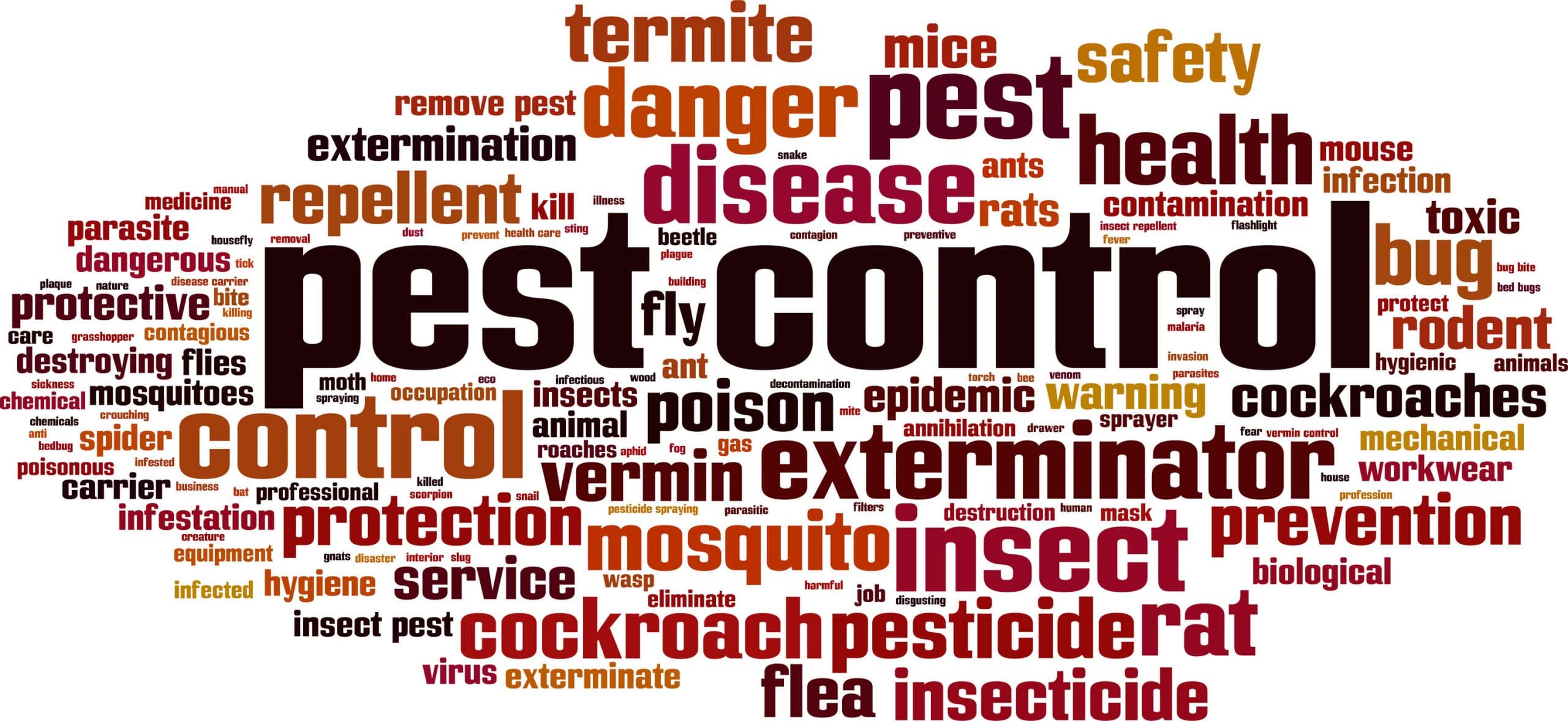 Pest Control & Extermination Services in Toronto & the GTA