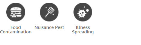 Disease caused by fruit flies