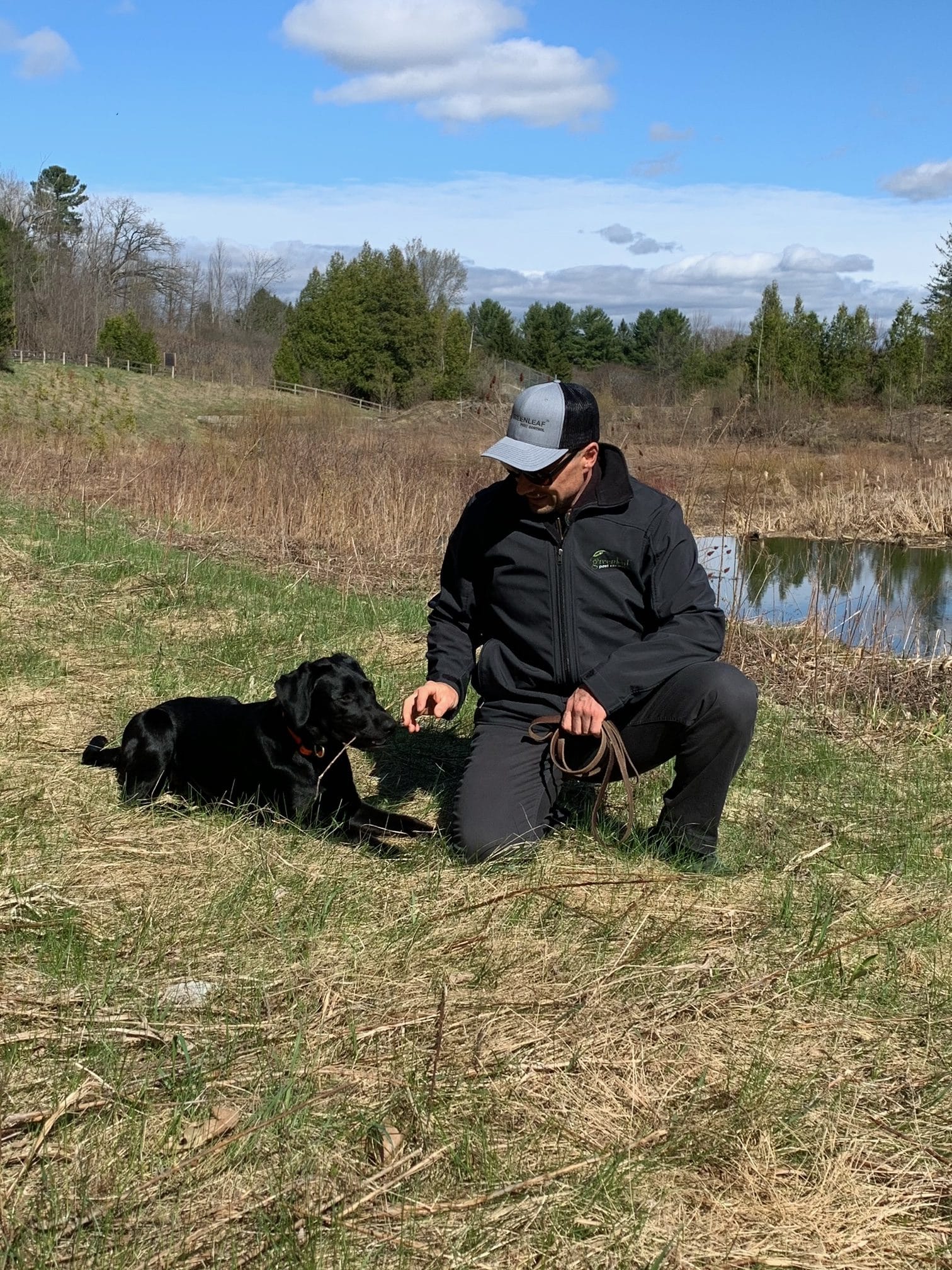 tick control services near me