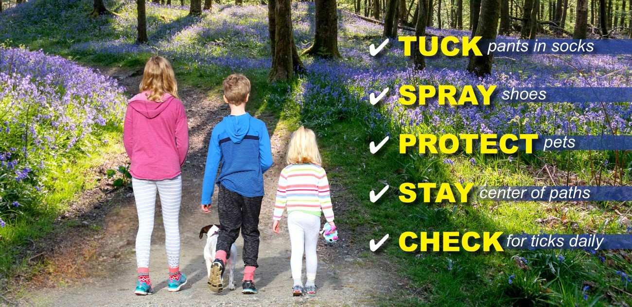 How to Remove Ticks Easily | GreenLeaf Pest Control