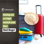 Bed Bug Removal in Toronto | GreenLeaf Pest Control