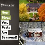 Seasonal Pests Exterminators | GreenLeaf Pest Control